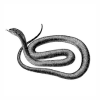 6D.png